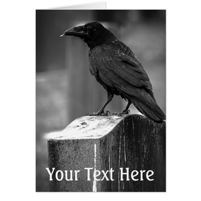 Falln Encontró Una Pluma (Frente)