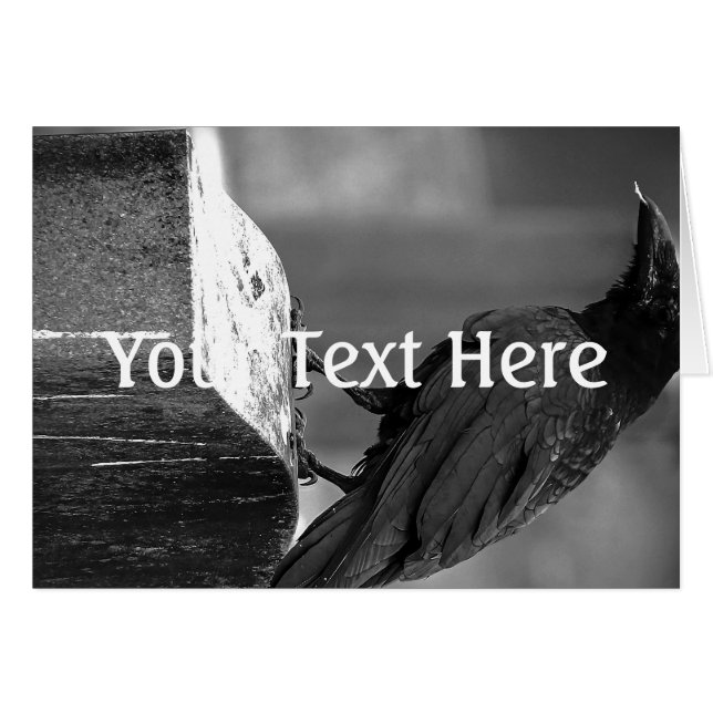 Falln Encontró Una Pluma (Anverso (Horizontal))