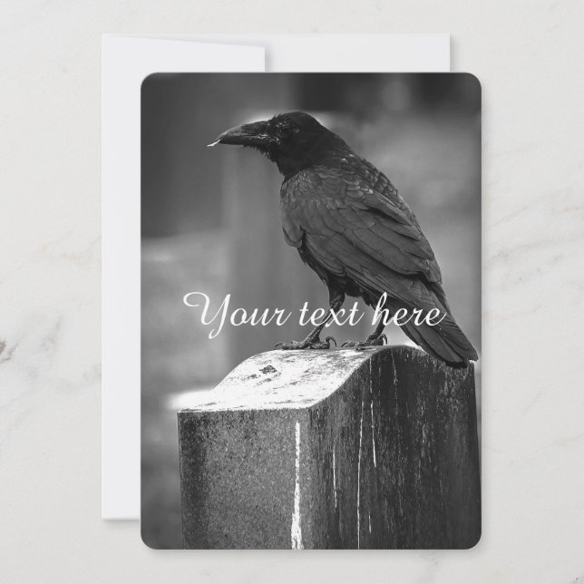 Falln Encontró Una Pluma (Anverso)