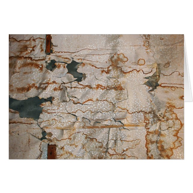 Falln Seted Elegance (Anverso (Horizontal))