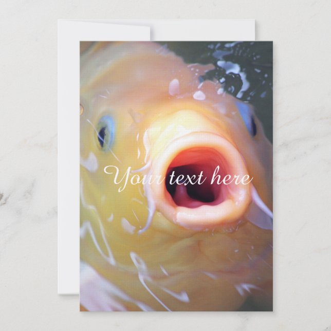 Falln Singing Ghost Koi (Anverso)