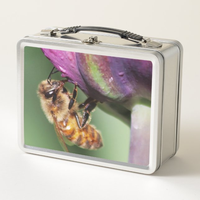 Faln Fuzzy Little Bee (Anverso)