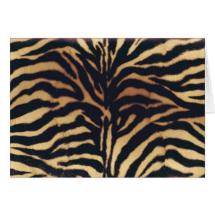 FALSA CEBRA AFRICANA SALVAJE