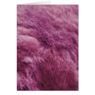 Falsa piel rosada del gato