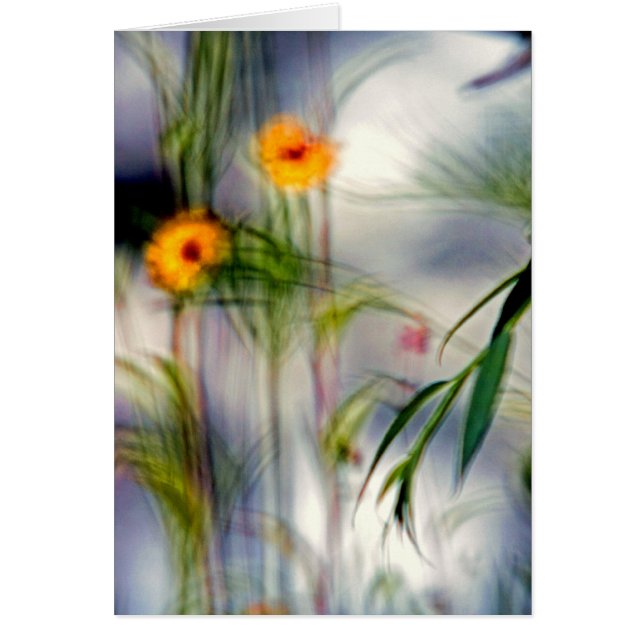 Falta de flores focales (Frente)