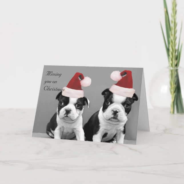 Falta de usted en tarjeta de los terrieres de (Anverso)