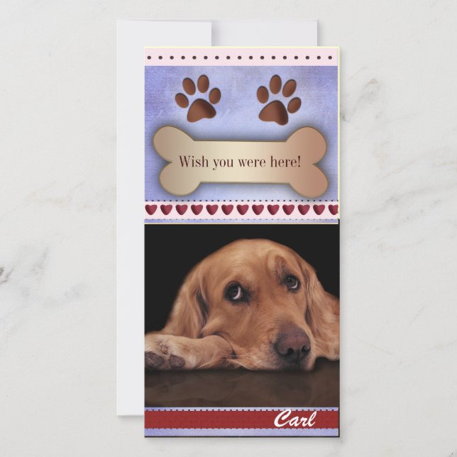 Falta la plantilla de foto de perro (Anverso)