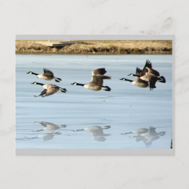 Falta la postal (Anverso)