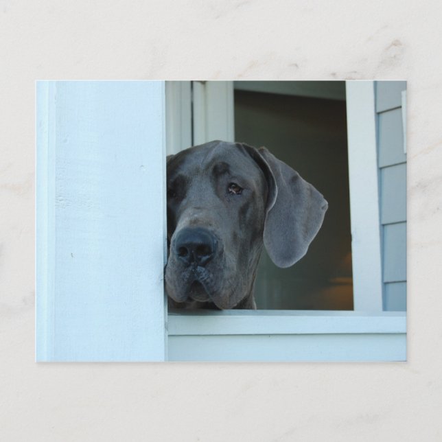 Falta la postal (Anverso)