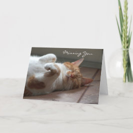 Falta la tarjeta de dormir del gato lindo