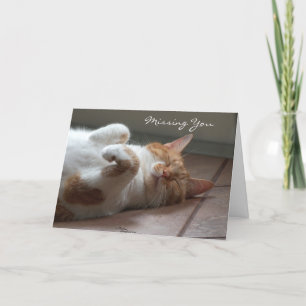 Falta la tarjeta de dormir del gato lindo