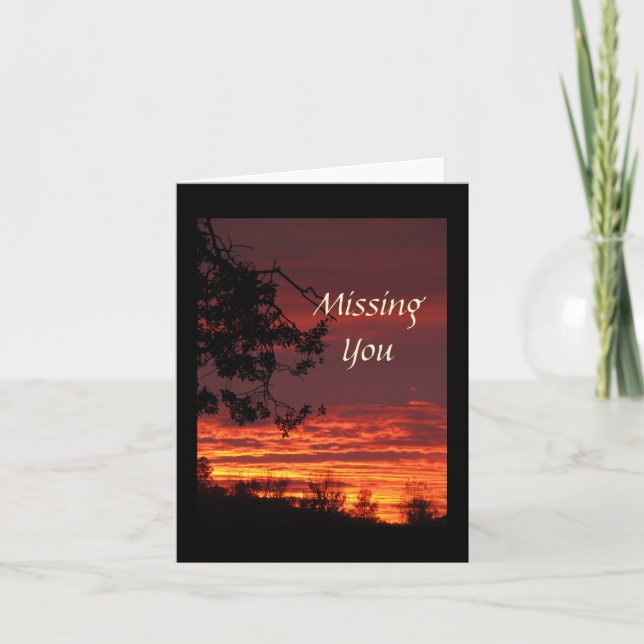 Falta la tarjeta de notas de Sunset (Anverso)