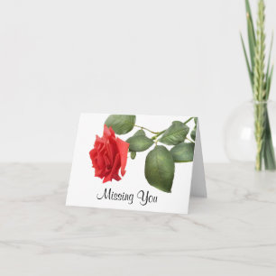 Falta la tarjeta de saludo de flor roja - Verso