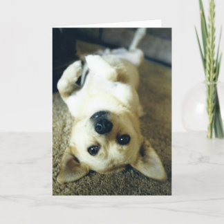 falta tarjeta de saludo