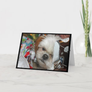 "Faltándole este tarjeta del navidad" con el tzu