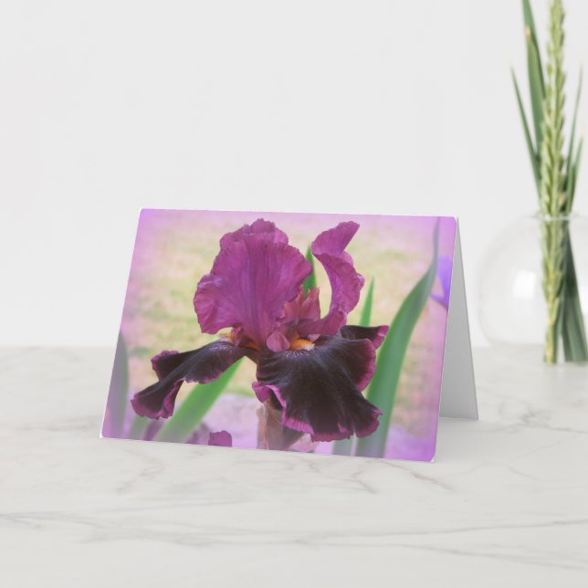 Faltándole tarjeta floral (Anverso)