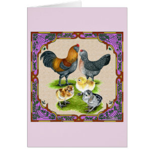 Familia Ameraucana enmarcada