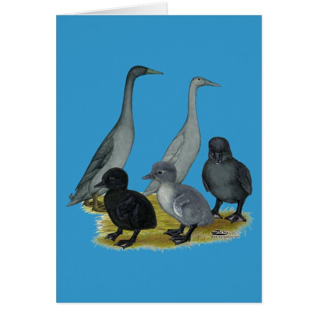 Familia Blue Runner Duck (Frente)