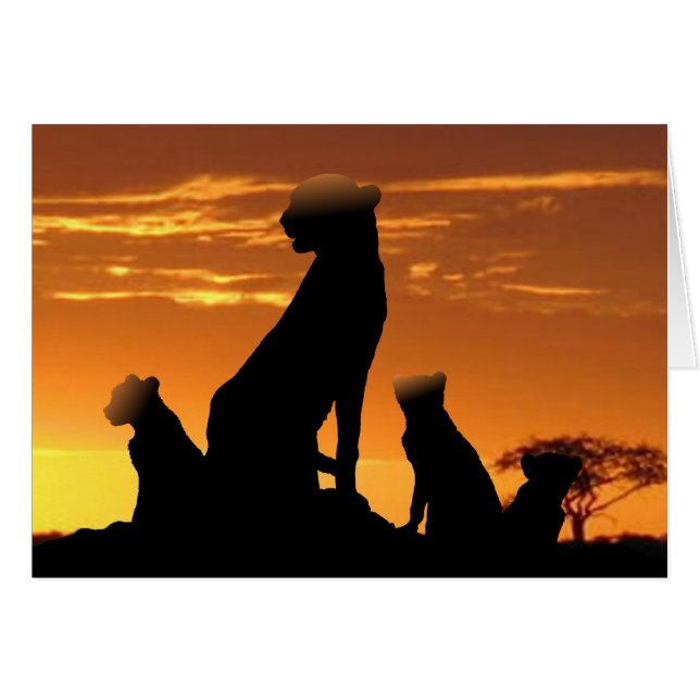 Familia Cheetah (Anverso (Horizontal))