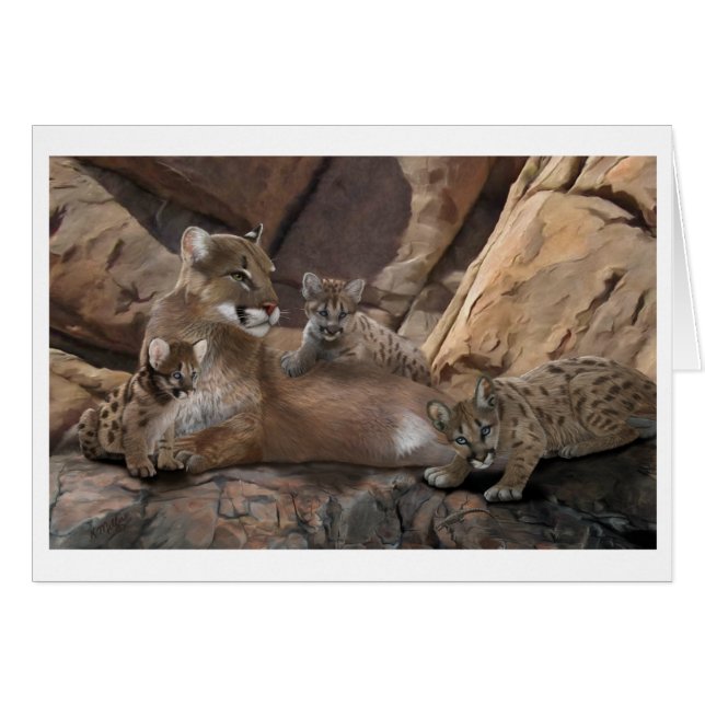 Familia Cougar (Anverso (Horizontal))