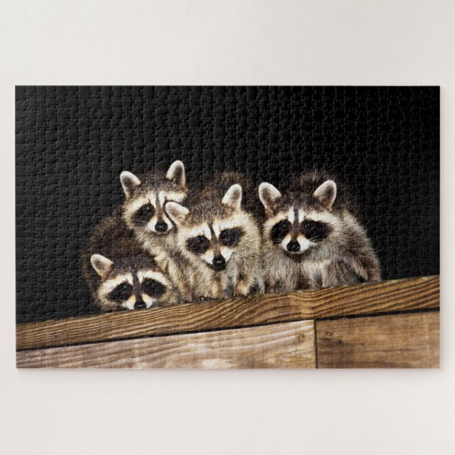 Familia Curiosa Raccoon, rompecabezas (Horizontal)