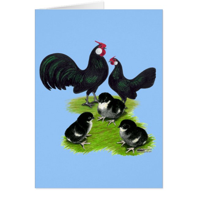 Familia de Bantam Negro Rosecomb (Frente)