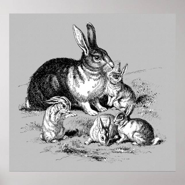 Familia de conejos - Archivos de impresión (Frente)
