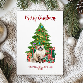 Familia de gatos Ragdoll en Navidad