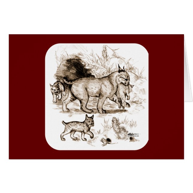 Familia de Linces Rojos (Anverso (Horizontal))