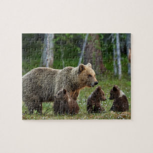 Familia de osos rompecabezas