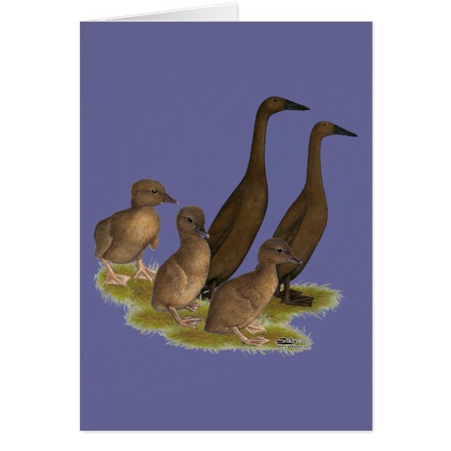 Familia de patos corredores de chocolate (Frente)