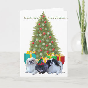 Familia de Pekinés en Navidad