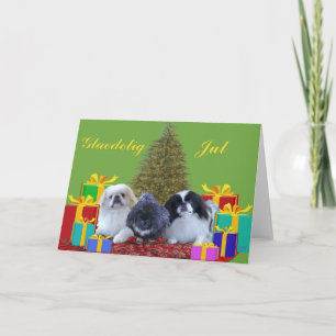 Familia de Pekinés en Navidad