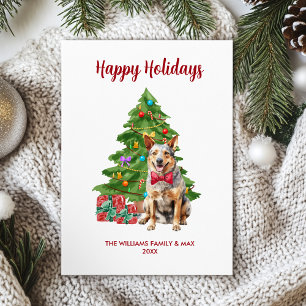 Familia de perro Blue Heeler en Navidad
