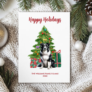Familia de perro Border Collie lindo en Navidad