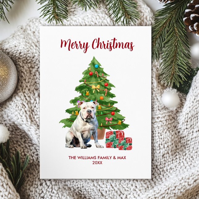 Familia de Perro Bulldog en Navidad (Subido por el creador)
