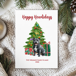 Familia de Perro Pitbull en Navidad