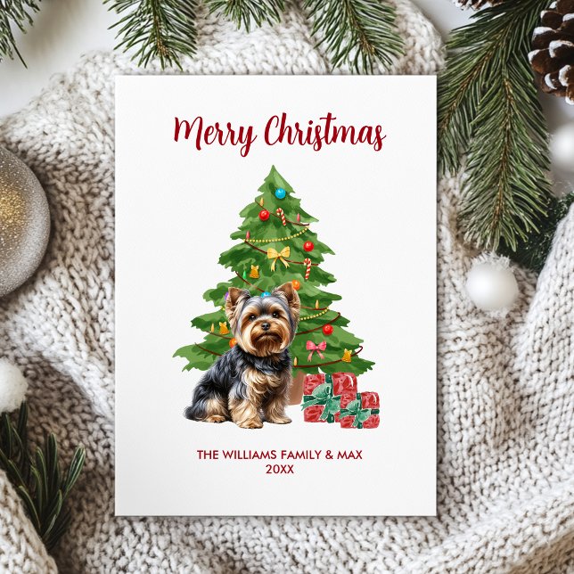 Familia de perro Yorkie Navidad (Subido por el creador)