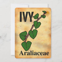Familia de plantas de hiedra arte de línea Tarjeta