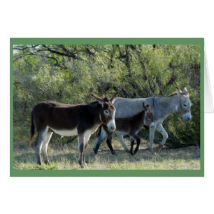 "Familia del Burro "