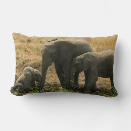 Familia elefante amargando almohada lumbar