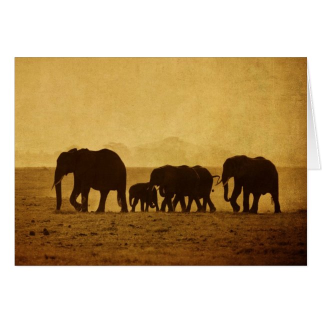 Familia Elephant (Anverso (Horizontal))
