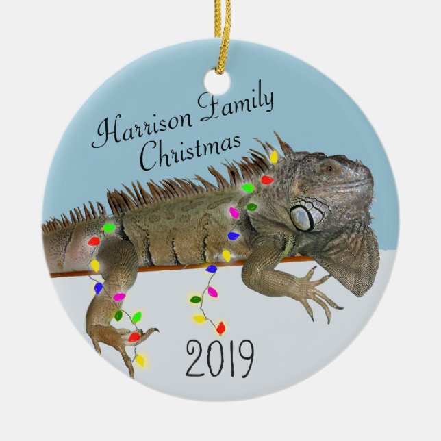 Familia Iguana Foto Ornamento de Navidad (Frente)