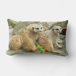 Familia Meerkats - almohada