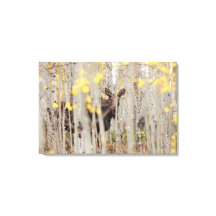 Familia Moose en el arte de lienzo Aspens