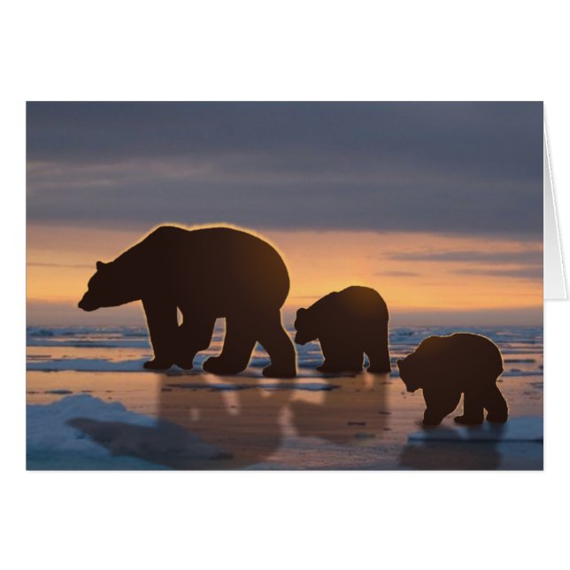 Familia Oso Polar (Anverso (Horizontal))