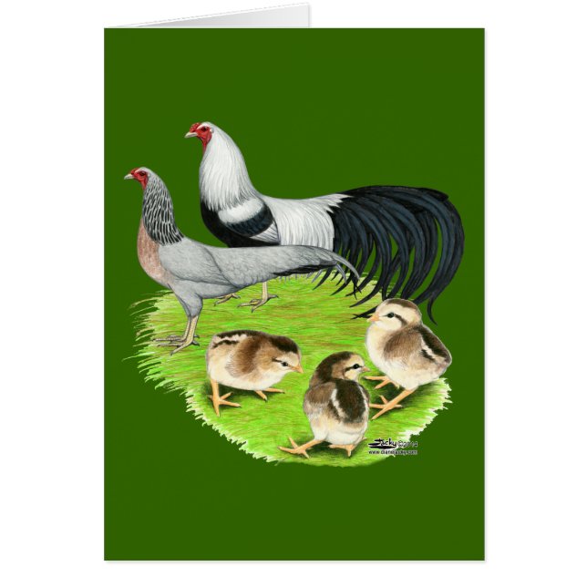 Familia Plata Yokohama (Frente)