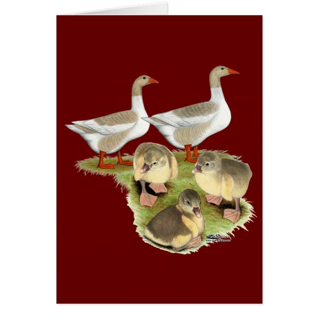 Familia Pomerania (Frente)