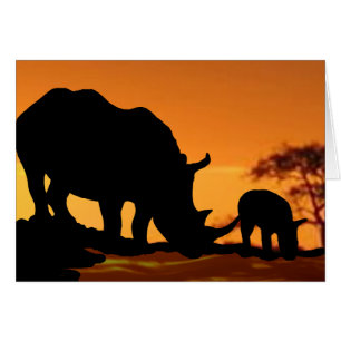 familia rhino