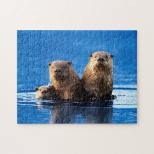 Familia Sea Otter, Puzzle Jigsaw